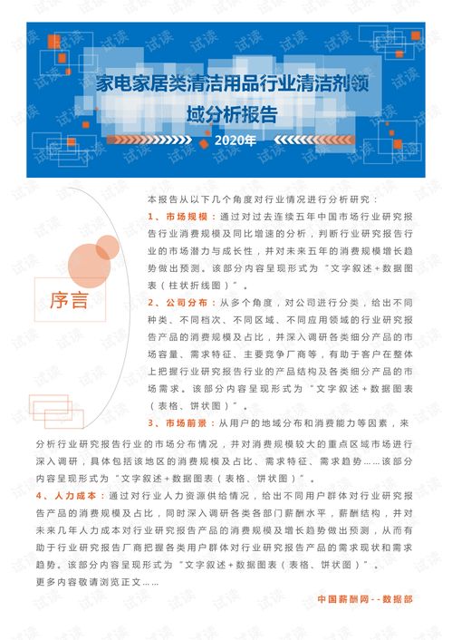 2020年家電與家居清潔用品行業(yè)清潔劑領(lǐng)域市場分析報告